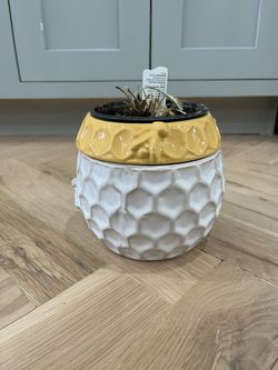 Self Watering Planter Bee Hive
