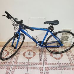 TREK RACING BIKE