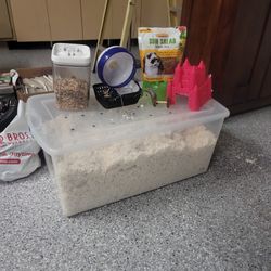 Hamster Bedding Toys Food And Supplies