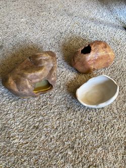 Reptile Hides/Bowl