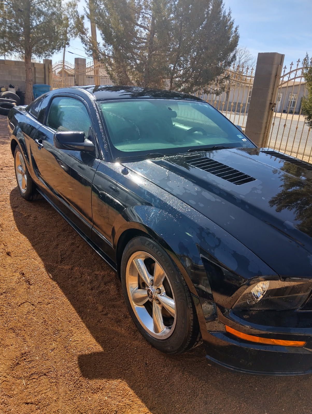 Mustang G.t 5.0 V8 Estándar   2006