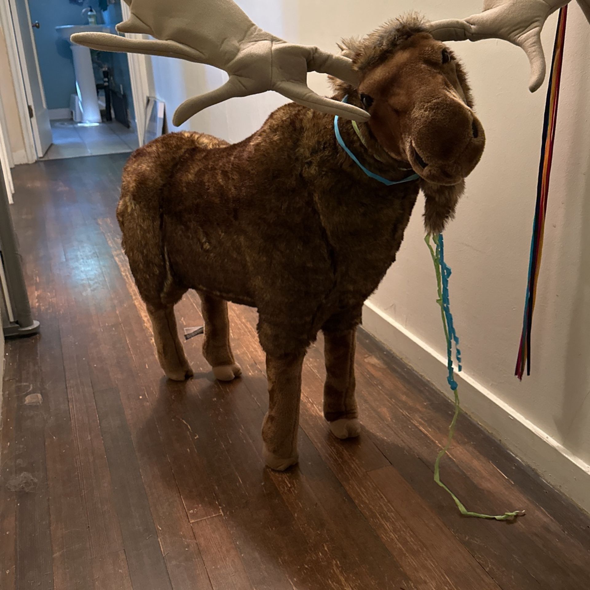 Melissa and Doug, Moose