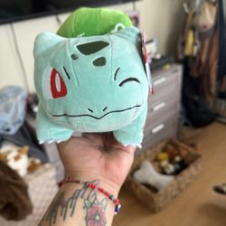 Pokémon Plushie
