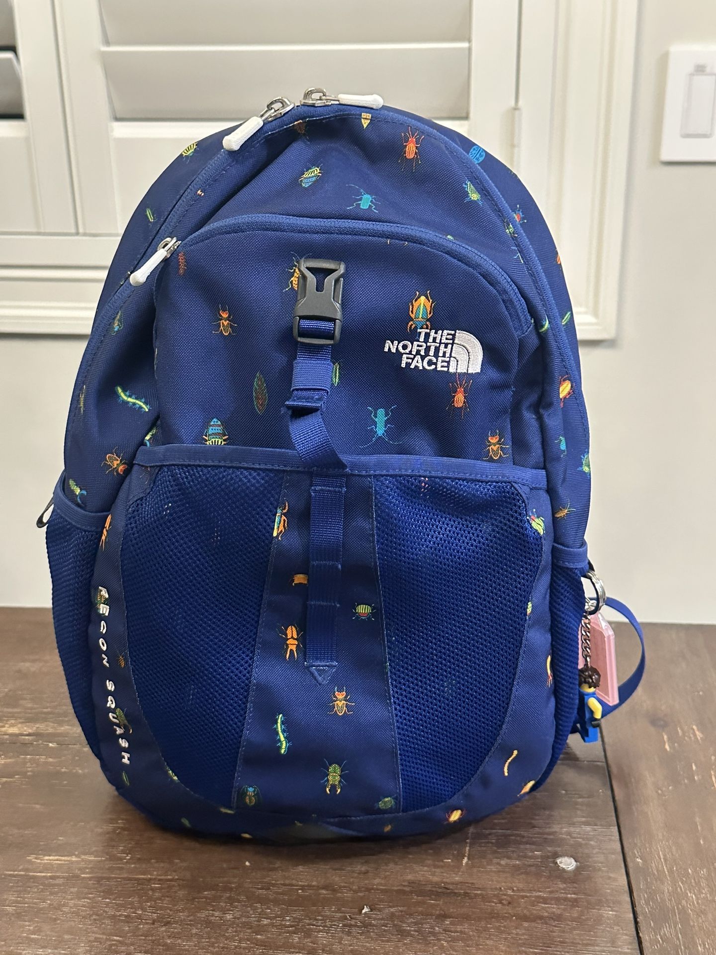 Northface Youth Backpack (bugs)