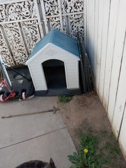 Dog House