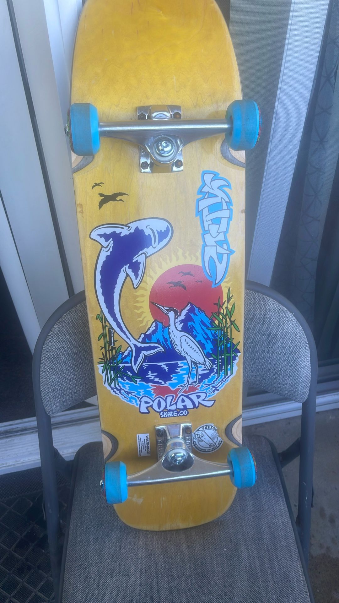 Polar Skateco Skateboard New