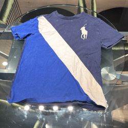 Polo Ralph Lauren Boys Multicolor T-shirt