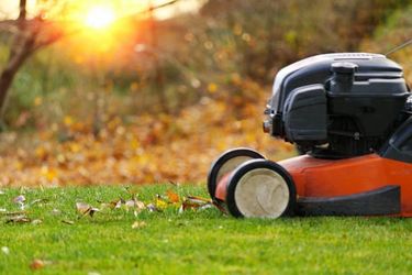 GARDENER / JARDINERO