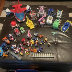 Paw Patrol Lot