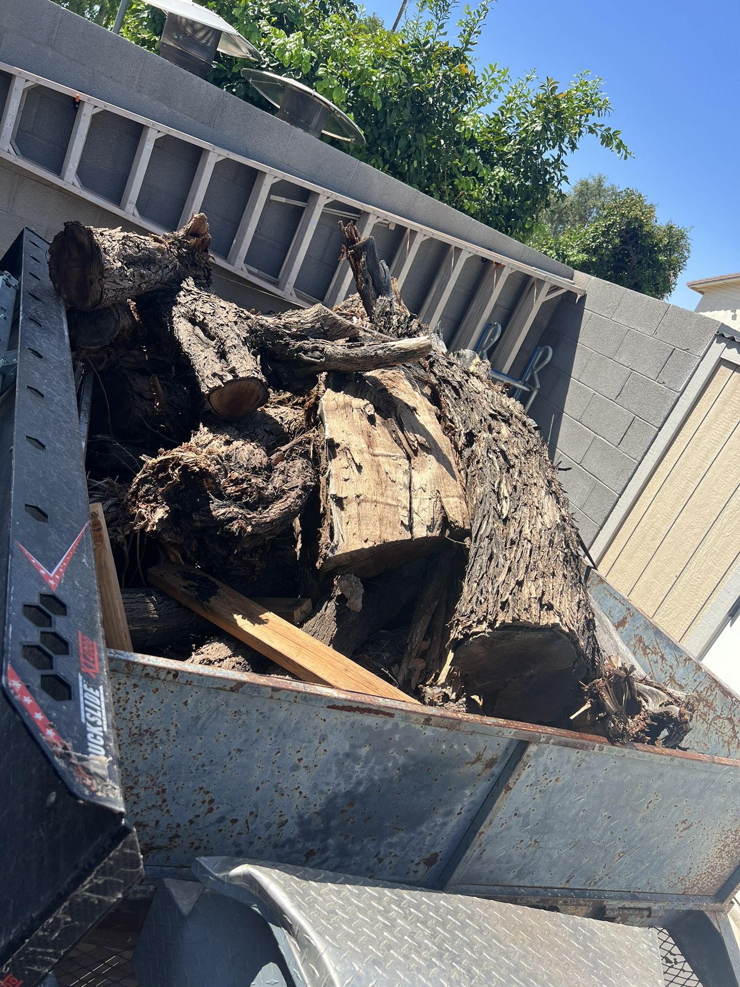 Mesquite, Firewood