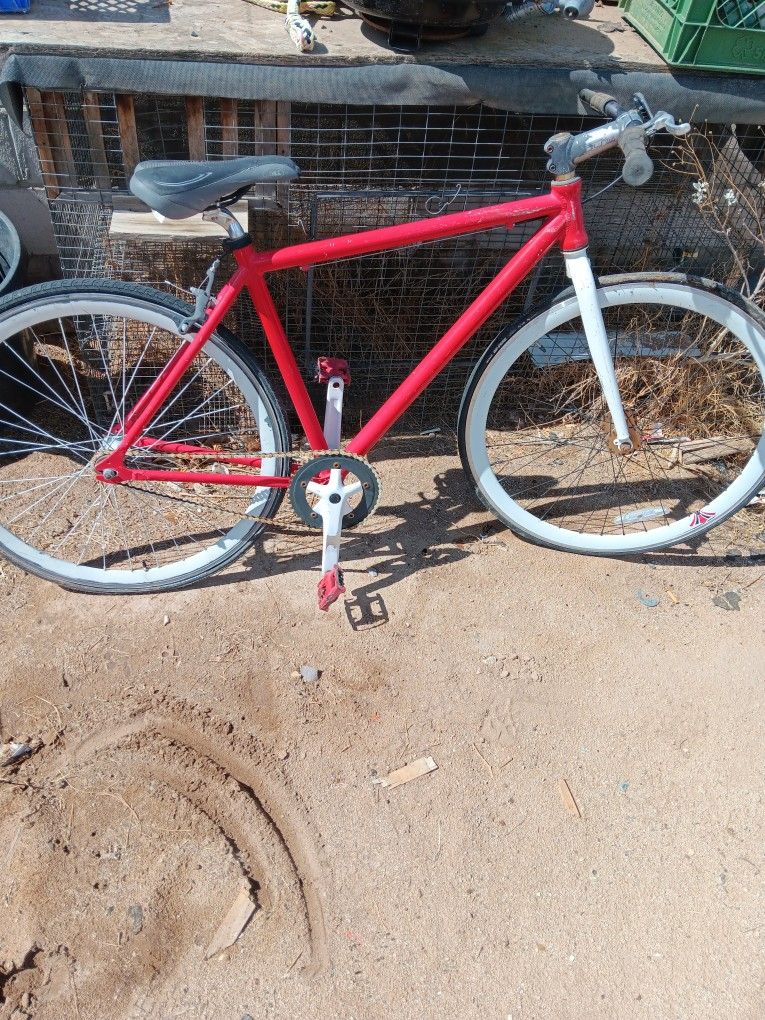 Cycling Road Bike