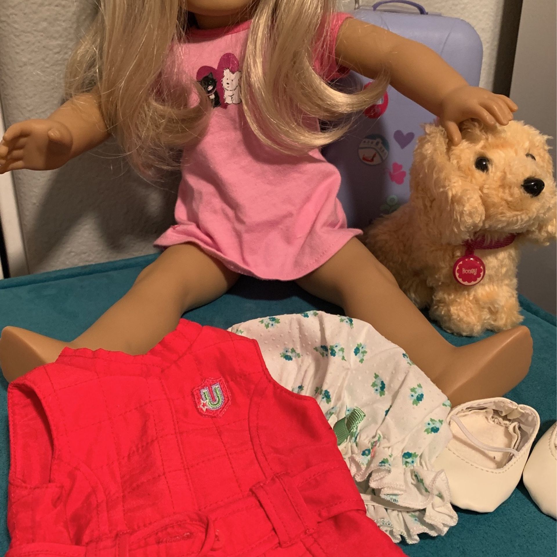 American Girl Doll. Like New. With So Manyy Accessories:. Pet, Couch, Glasses, Rings, Earrings, Shoes And More
