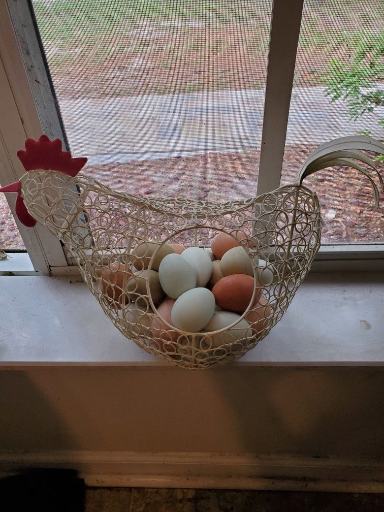 Fresh Organic Free Range Eggs