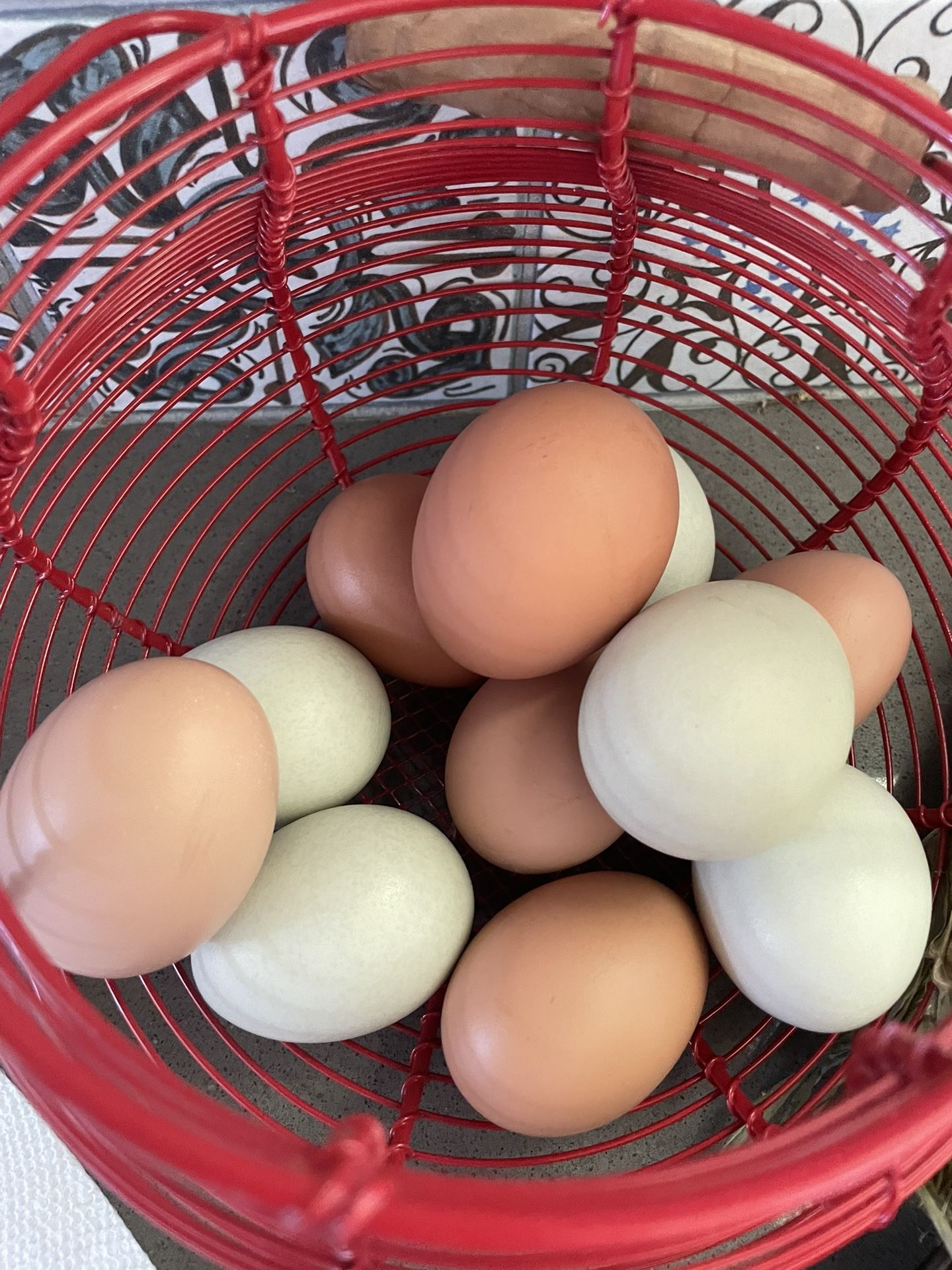 Fresh Eggs