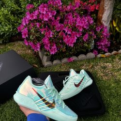 Nike Sabrina 3 All-Star Warning Label (Women’s) 