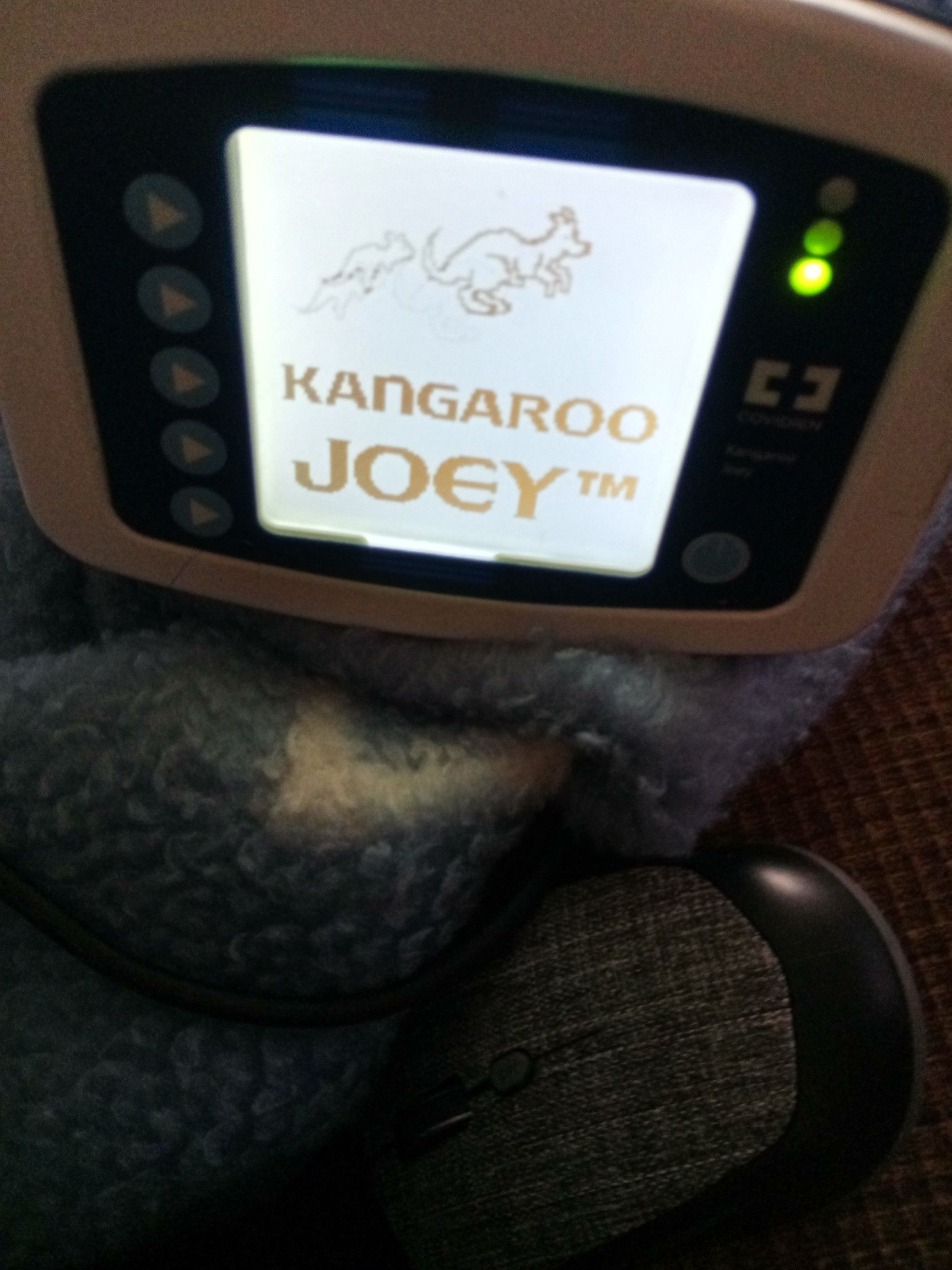 Kanagoo Josey feeding pump