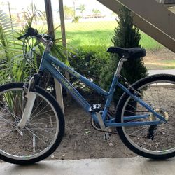 Diamond Back Lustre 2 