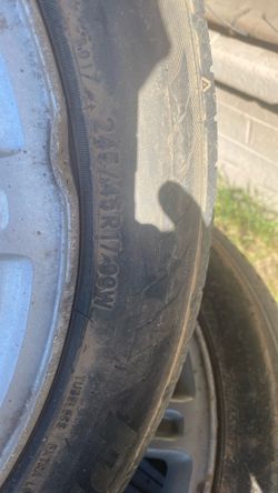 Rines Ford  Mustangs 