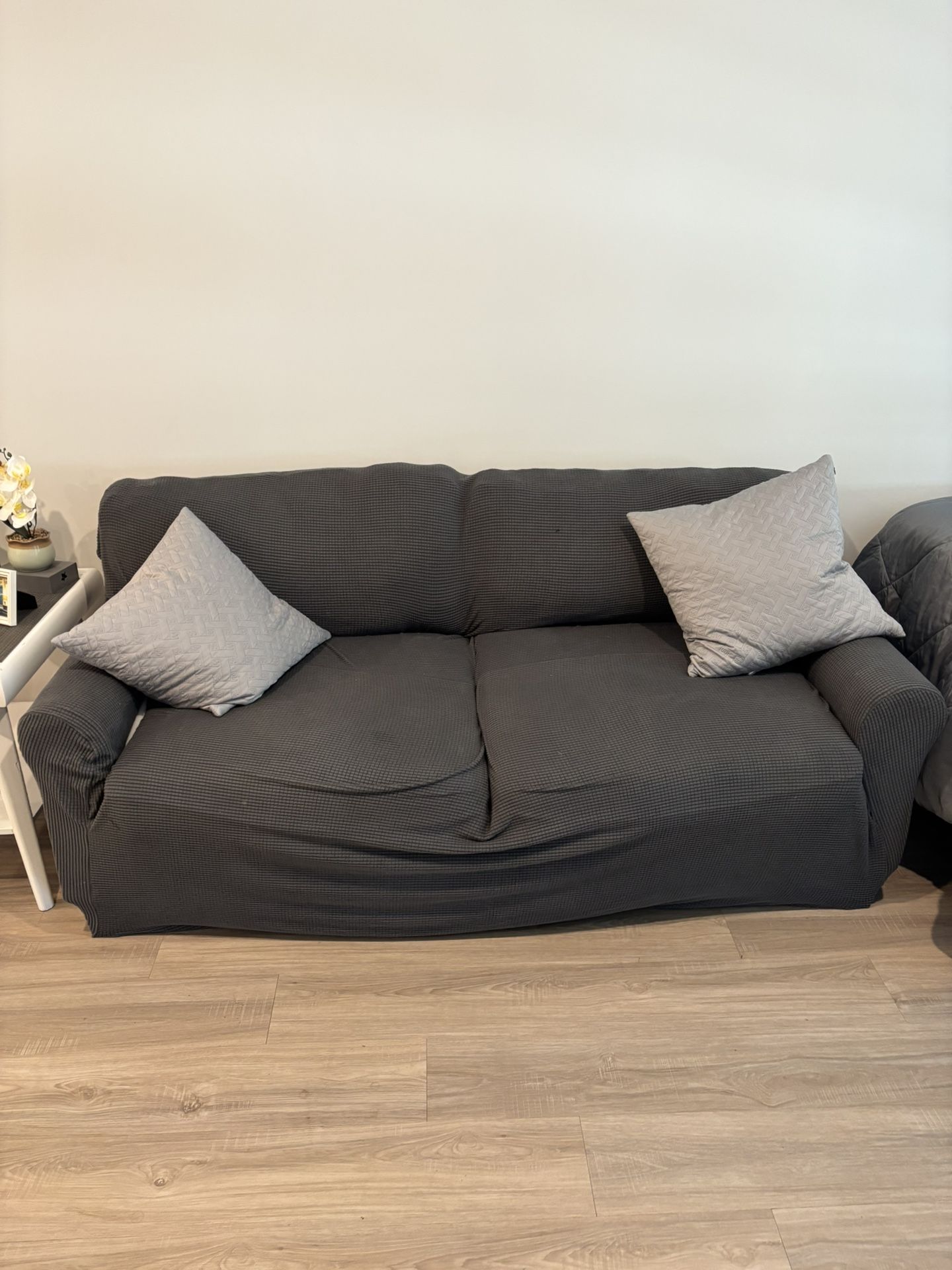 Two seat sofa not a pull out