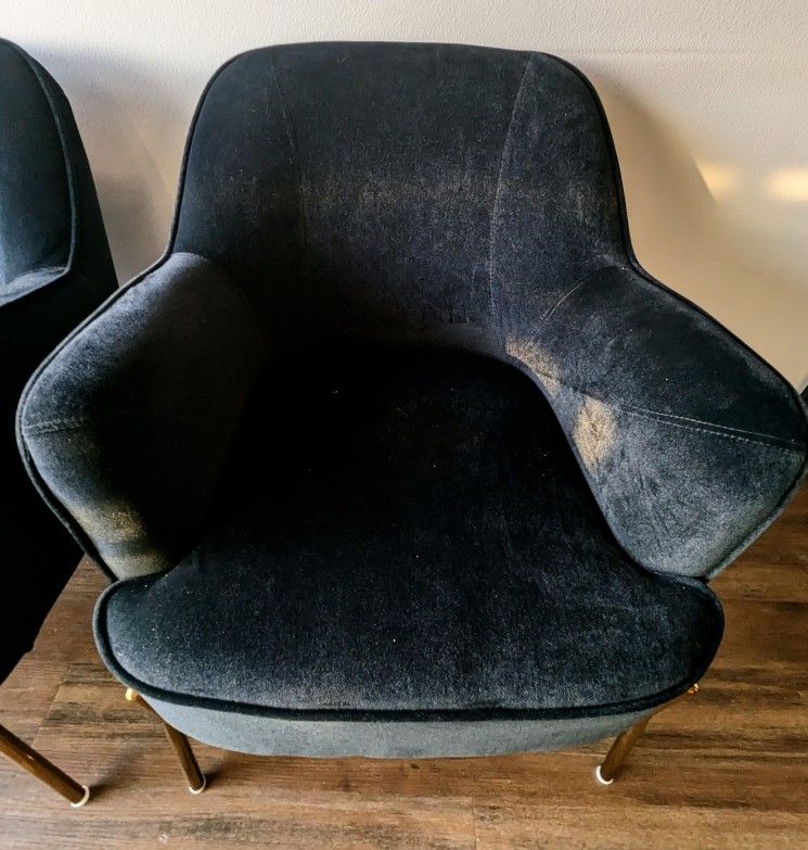 Black Velvet Chair with Gold Legs