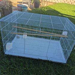 Bird Cage