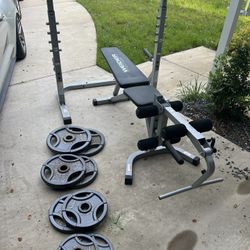 Weirder Work Out Bench With Weights 