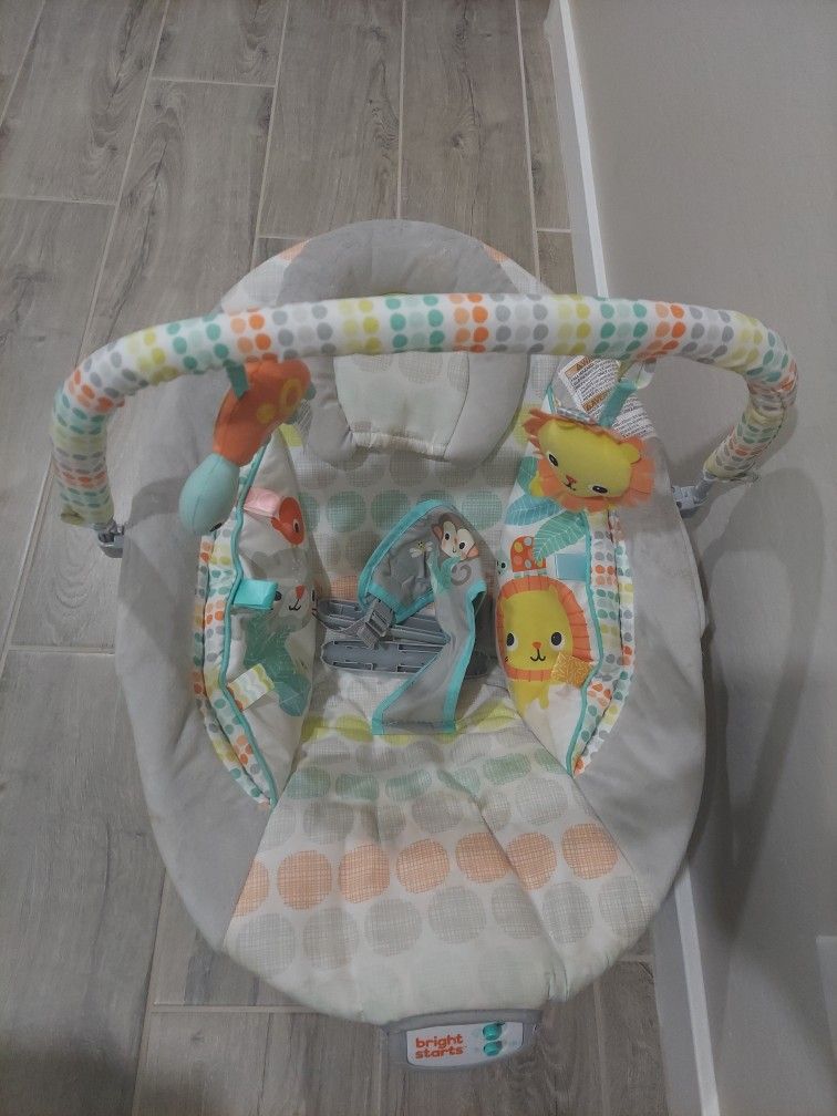 Baby Bouncer