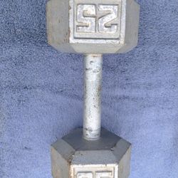 (YES STILL AVAILABLE) One 25 lb Dumbbell 