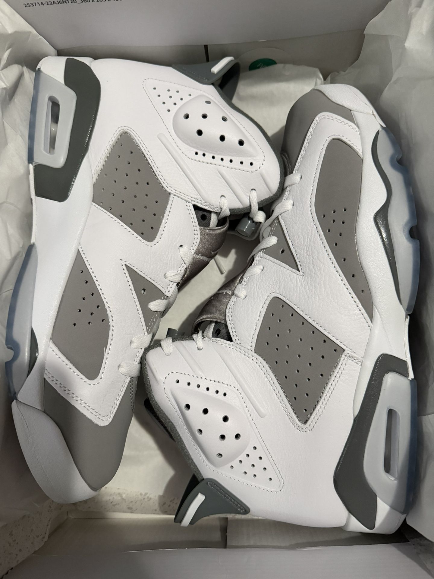 Air Jordan Retro 6 