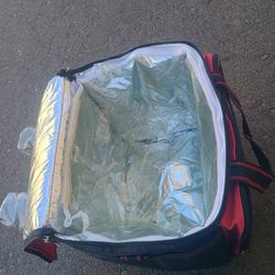 California Innovations Cooler Bag