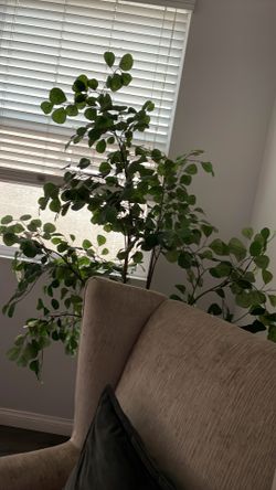 Artificial Plant