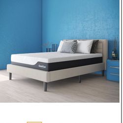 Queen Size CoolGel Ultimate