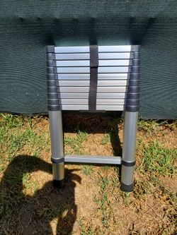 Telescopic ladder