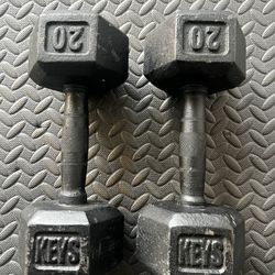 Weight Dumbbells 20 Lb