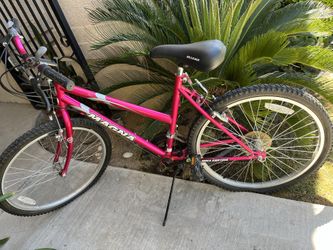 Bicycle