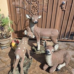Family Deer For Sale