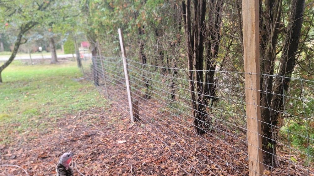 Wire Fence