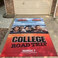 Original Disney Movie Theater Vinyl Poster