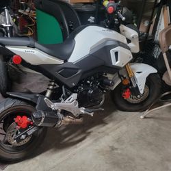 Honda Grom
