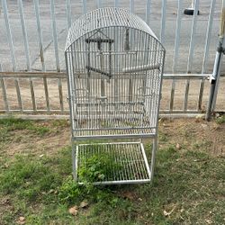 Bird cage 