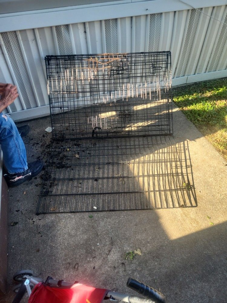 Dog Cage