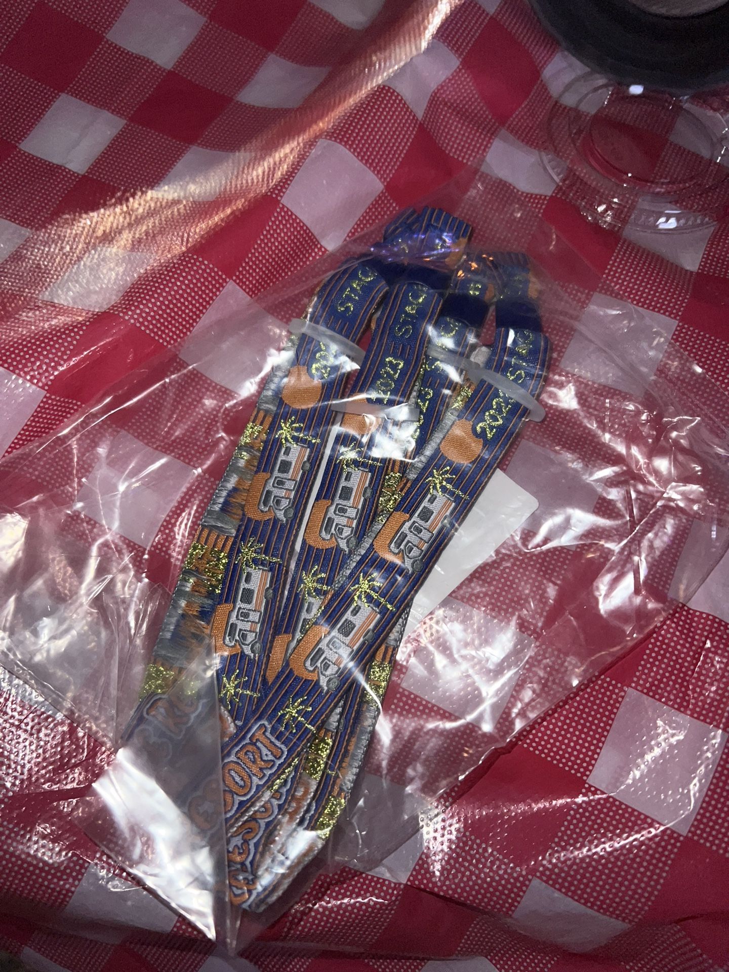 Resort/camp Passes