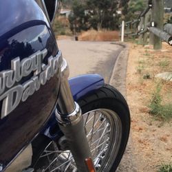 2006 Harley Davidson Street Bob