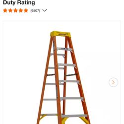 6ft Ladder 