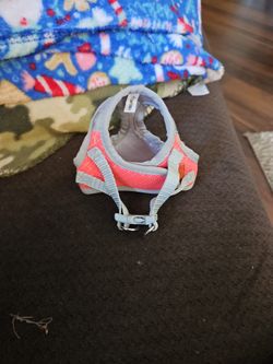 Extra Extra Small Harness Practically Brand New