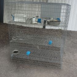 Bird Cage / Wire Cage