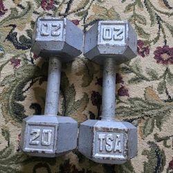 20 Pound Dumbbell Set VERY Nice Used 