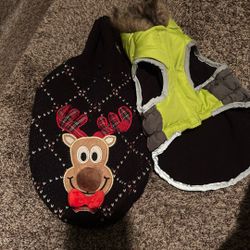 Doggy clothes 