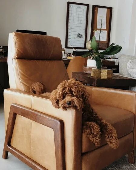 West Elm Spencer Wood-framed Leather Recliner