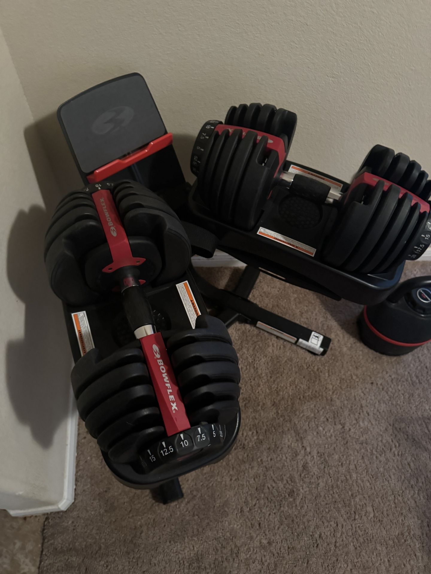 Bowflex 552 Dumbbells With Stand 